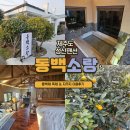 성산 동백소랑 | 제주도 성산 펜션 : 독채 동백소랑 자쿠지
