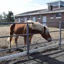 대천목장 이미지