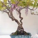 방죽골농장 이미지