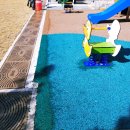 김녕초등학교 동복분교 병설유치원 | {제주 김녕초 동복 분교 병설유치원}자작나무 조합놀이대:흔들 놀이기구