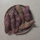 박은영농장 | 코로나 걱정될땐 집에서 먹자 w.해피콜의 5일장터