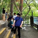위험안내표지판-12 이미지