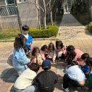 2026,4월) 알록달록 꽃들이 가득