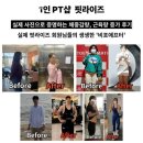 핏라이즈 네이버블로그