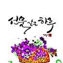 🙆🏻‍♂️💕돌고도는 룰렛판👍🌹🙏 이미지