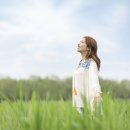 산들바람 이미지