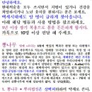 구지뽕 효과+뽕나무의 각 부위들의 약효. 흰껍질 152종류 병, 잎 42, 뿌리 51, 가지 5, 열매 29종류의 약효 이미지