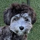 멍펜션14 이미지