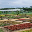 수성농장 이미지