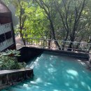 황령산레포츠공원(생태공원) 이미지