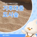 대구 중구 맨발걷기 장소 추천 기후대응도시숲 후기