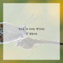 서운치과의원 이미지