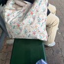 5067 | [일상] 호주날씨는 너무 더워