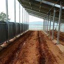 지산  태양광발전소 이미지