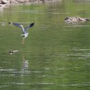 김삿갓면-17 이미지