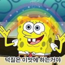 호은 이미지