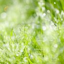 햇살이네 이미지