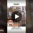 토종닭 누수없이 깔끔하게 코스로 발라먹는 법! / 벌교 이미지