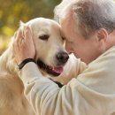 건강하게 동물병원 이미지