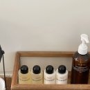 사시산색