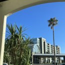 해비치 노을정원 | 제주 표선 완벽한 5성급 리조트 호캉스 | 해비치 리조트 제주 클래식 스위트 후기 (ft. 석식 뷔페 섬모아)