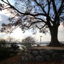 강경-11 이미지