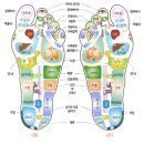 [발마사지] 족부사혈요법(이지사혈요법 이미지