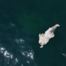 제주바다연 이미지