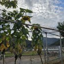 흥부목장 이미지