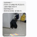 세탁매니저 | 내돈내산 유모차세탁 카시트세탁 지우미 업체 유모차세탁 이용후기