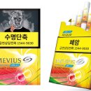 선셋비치 이미지