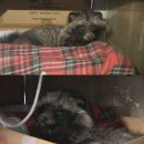 김재윤농장 이미지