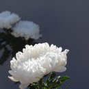 서울장례식장 이미지