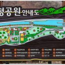 신탄진고네거리 이미지