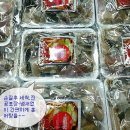 홍어한마리 이미지