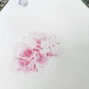 보테니컬 이미지