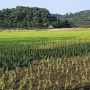 이동균행정사사무소 이미지