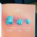 책읽는 픽토그램 이미지