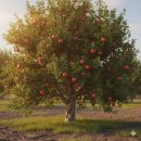 청구성심병원 화장실 | 신촌성심병원 | 나의 신방 | 신촌 방탈출 4인 후기 | 18세 이상 이용 가능 테마