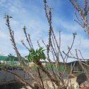 안말농장 이미지