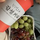순천 가볼만한 곳 순천만국가정원 박람회 방문 후기 추천해요~