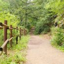 가족공원길 이미지