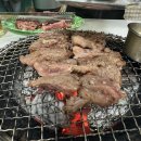 인생소갈비살