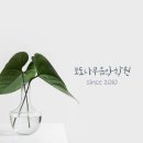 포도나무 음악학원 네이버블로그