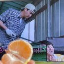송보농장 네이버블로그