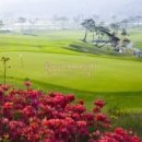 남원골프존 이미지