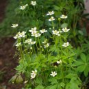 초록놀이터 이미지