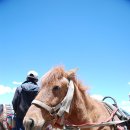 24시 숨 동물병원 이미지