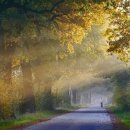 명장로67번길 이미지