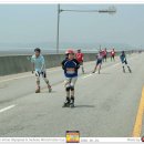 빨간바다 이미지